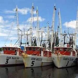 Meet your Posher, Antonio daniel